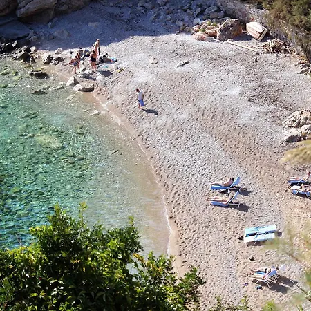 Guest house Double 8581a Dubrovnik